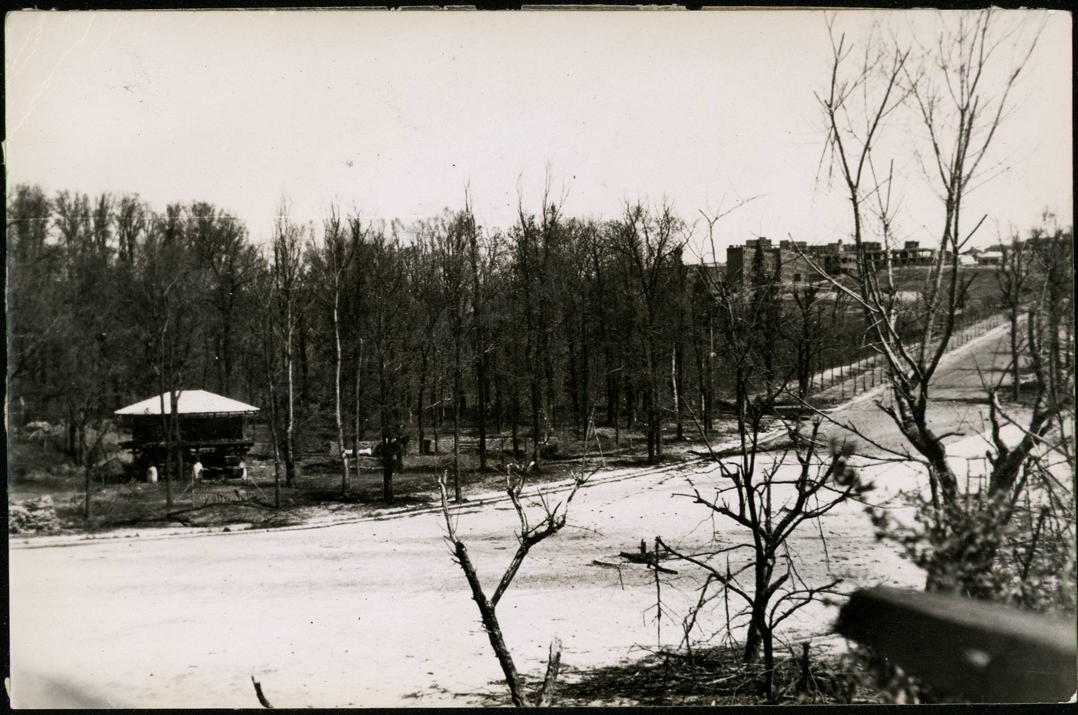 0126.jpg 0126.jpg